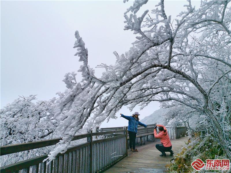 阳春回雪,建宁金铙山现雾凇奇观